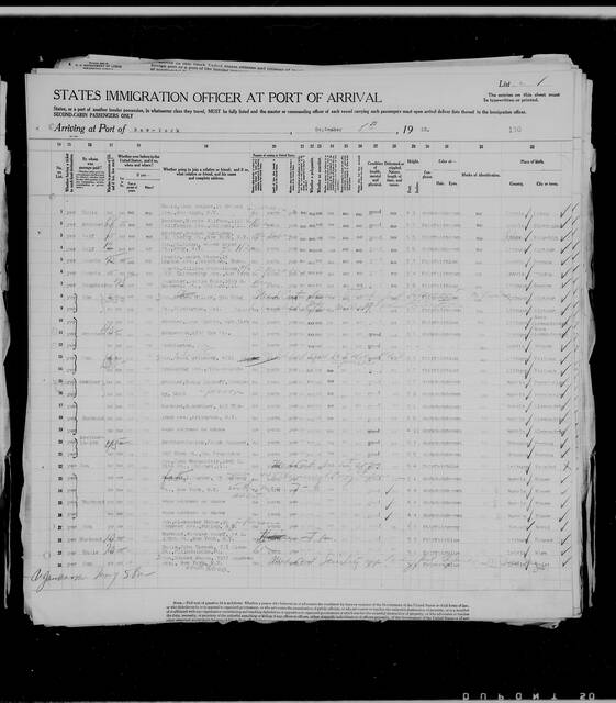 Original Lituania manifest page 2, list 4